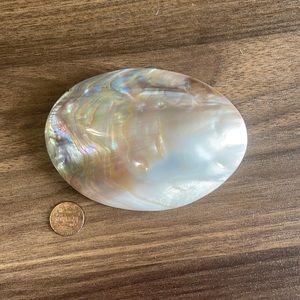Vintage Mother of Pearl Belt Buckle (?) for Scarf